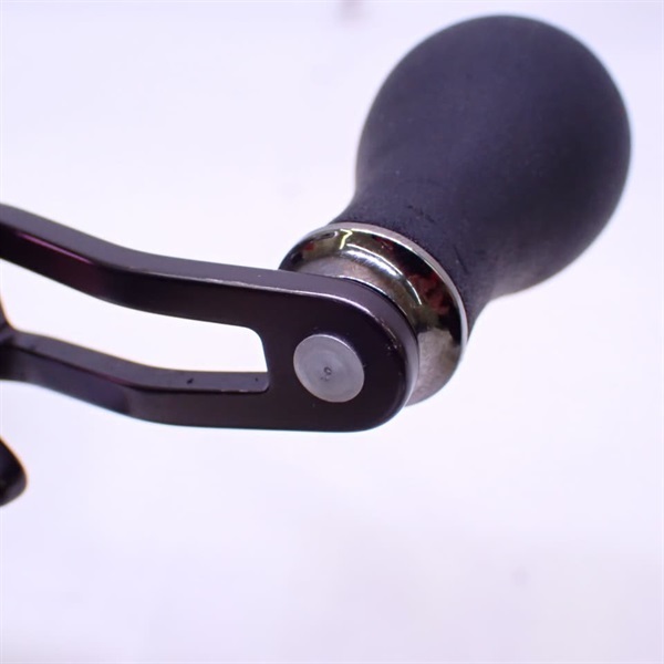 １３紅牙ＩＣＳ１０３Ｌ